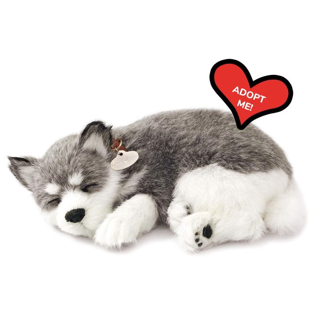 Perfect Petzzz - Original Petzzz Alaskan Husky, Realistic Lifelike Stuffed Interactive Pet Toy, Companion Pet Dog with 100% Handcrafted Synthetic Fur