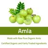 Amla Capsules (Phyllanthus Emblica) – Amalaki amla 120 Capsules | Natural Antioxidants Superfood | Herbal Supplement Made with Organic Amla Fruit Powder