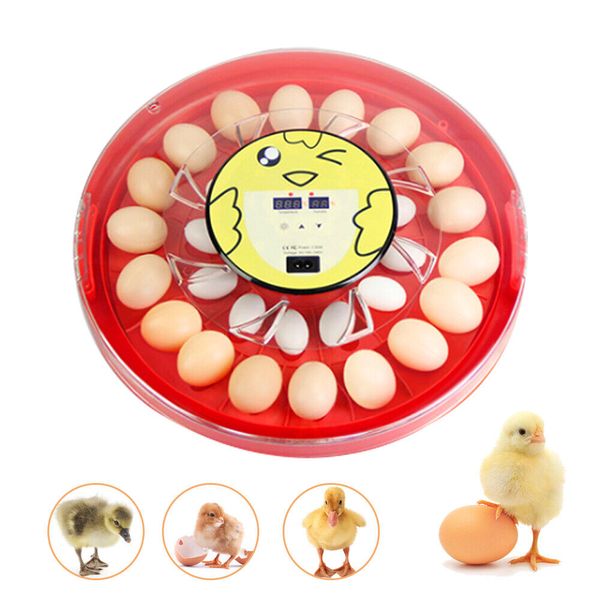 30-Egg Incubator Digital Chicken Quail Hatcher Incubators for Hatching Eggs 110V