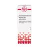 DHU Graphites D6 Dilution, 20 ml Lösung