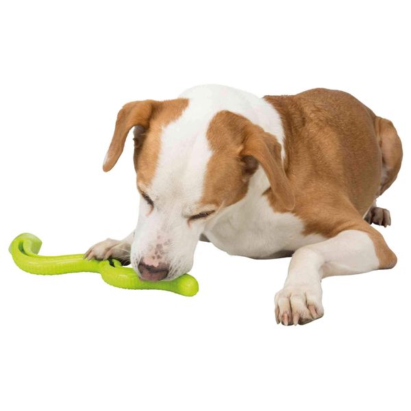 Trixie Snack Snake Dog Puzzle Toy for Dogs, Dog Enrichment Toy, Interactive Chew Toy, Treat Dispenser, 16.5" (42cm)