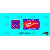 1/64 'Dixie Challenger' Reproduction Decal SCR-0293