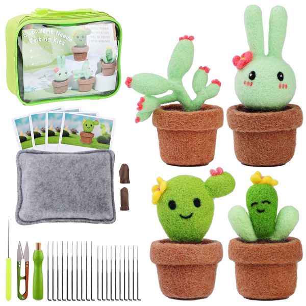 Qzma Needle Felting Kit for Beginners, Needle Felting Kit with Box, 4 Pcs Cute Cactus Wool Felted Set, Needle Felting Supplies with Needle Felting Pad, Felting Needles, Felting Wool, Instructions