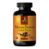 Neuro Brain Boost Memory - MUCUNA PRURIENS - mucuna pruriens extract - 1 Bottle
