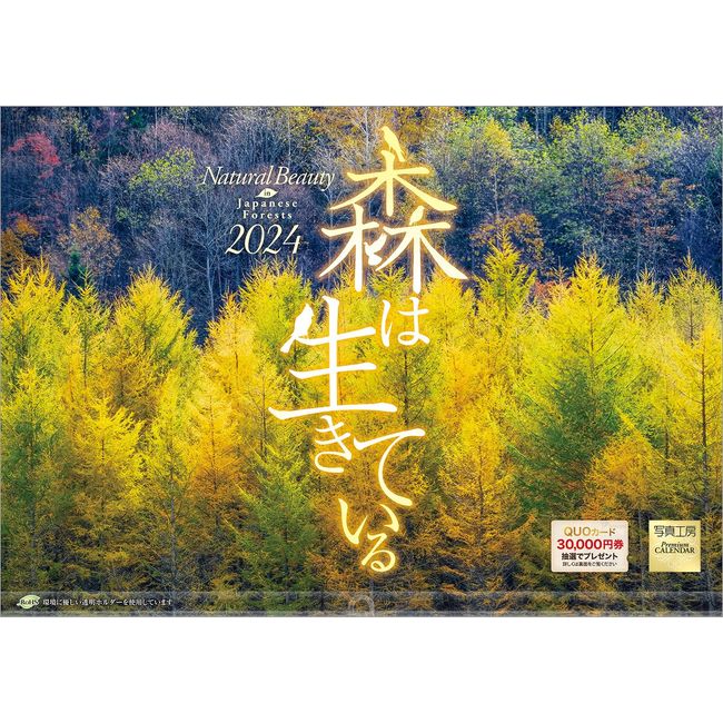 Photo Studio Calendar "Forest Living Life" 2024 Calendar Wall Hanging Landscape [420 x 297 with Holder]