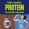Protein Shake, Chocolate, 26g Bottle, 14oz, 12 Pack