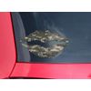 Lips Decal 9x5.5 WraptorCamo Digital Camo Combat