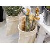Trash Ring Clamper (Ivory)