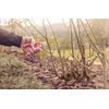 Tramontina Bypass Pruner 17.8cm