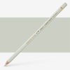 Caran d'Ache : Pablo Coloured Pencil : Ash Gray 401