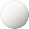 Shiki Saimai Nail Ice Surface Mirror (Water-based Nail)