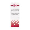 DHU Oleum terebinthinae D6 Dilution, 20 ml Lösung