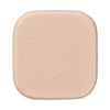 Marshfield SC Foundation Sponge