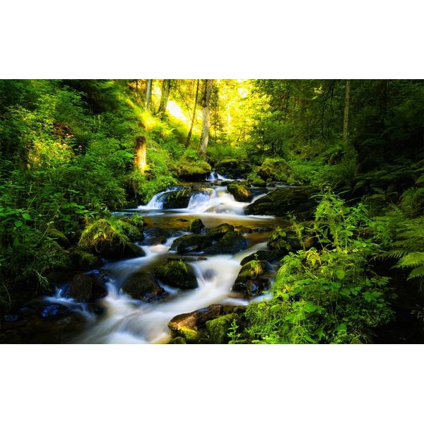 SNR-021W1 Paintings Style Wallpaper Poster, Forest Springs, Mountain Streams, Water Flow, Spring Water, Forest Bath, Green, Healing, Refreshing (Removable Sticker) Caracro (Wide Version, 36.2 x 22.6 inches (921 x 576 mm), Architectural Wallpaper + Weather