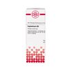 Euphorbium D6 DHU Dilution, 20 ml Lösung