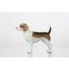 Conversation Concepts Beagle Figurine
