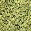 FENNEL SEED With Absolutely No Additives High Potency 100 Vegetarian Capsules