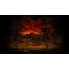 Yomawari The Long Night Collection (Nintendo Switch)