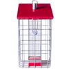 The Nuttery NC015 Geohouse Peanut/Sunflower Seed Feeder