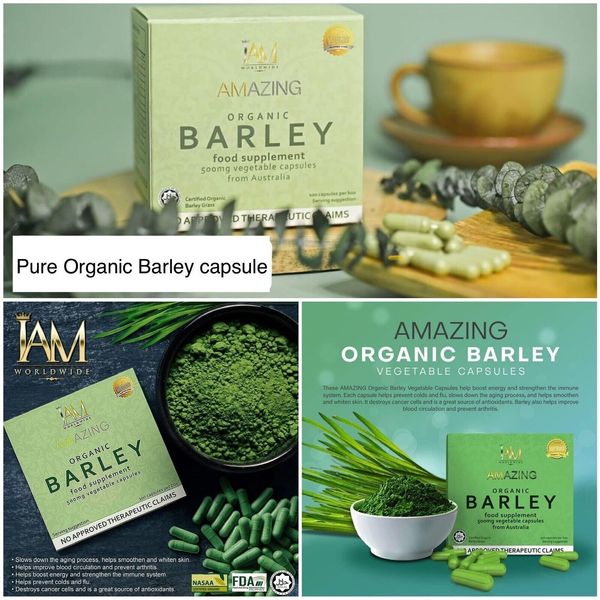 Amazing Pure Organic Barley Capsule(new Packaging)