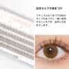 LASHIDOL Partial False Eyelashes, Mazek, Self False Eyelashes, Natural, Popular, DIY False Eyelashes, Easy, 0.4 - 0.5 inches (9 - 12 mm) (Cherry Blossom) (Fishtail Eyelashes, Brown)