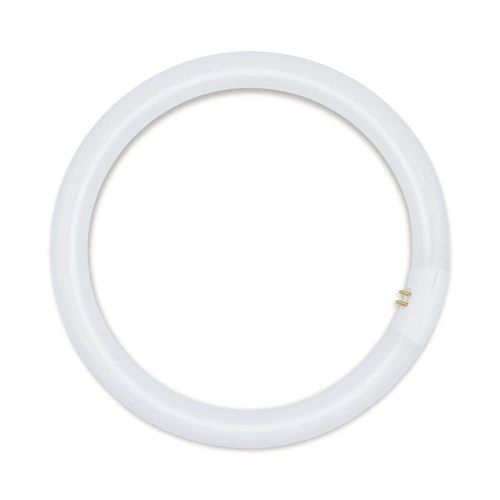 Replacement for Omega E6/0 Light Bulb by Technical Precision