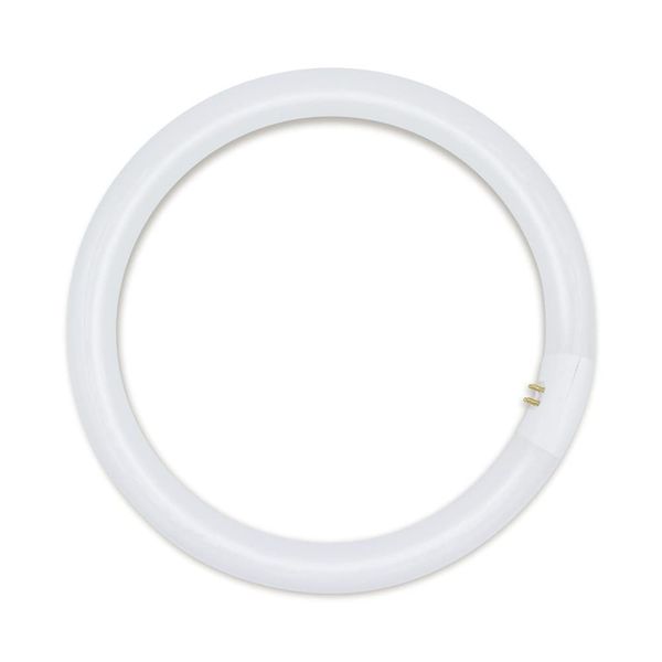 Replacement for Omega E6/0 Light Bulb by Technical Precision