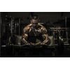 muscle growth - MAXAMINO PLUS COMPLEX - amino energy - 2 Bottles 180 Tablets