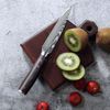 10 Pcs Kitchen Knives Set Stainless Steel Damascus Pattern Chef's Knife Gift US