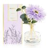 Reed Diffusers Set Lavender Scent with Transparent Bottle, 7.10 oz Diffusers for Home with 7 Diffuser Sticks, Reed Diffuser for 120 Days, Long Lasting Scent for Bedroom, Spa and Sleep Support