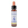 Healing Herbs/Flower Essence [Mustard]