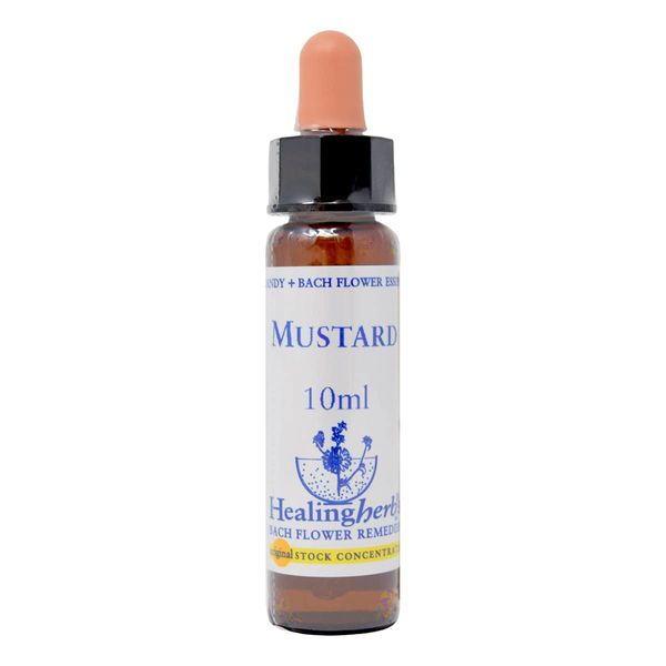 Healing Herbs/Flower Essence [Mustard]