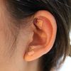 Dragon Acupuncture Ear Seeds 600 Counts Refill Pack