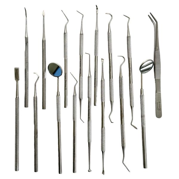 Dental Scaler Set of 16 Piece With Mouth Mirrors, Tweezers, Probe, Essentials