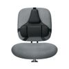 8037601 - pro series back support