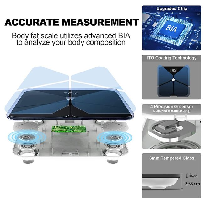 Wellue Smart Scale, 15 Body Composition Monitor, Bathroom BMI Scale with  Bluetooth