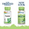 SOLARAY Parsley Capsules, 860 mg | 100 Count