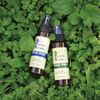 Be Protected Everyday Insect Repellent Item BPE-GREEN Bgm Sage