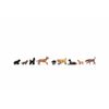 Noch 15719 Dogs Landscape Modelling