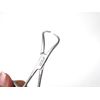 10 Pcs Veterinary Backhaus Towel Clamp Surgical forceps 3.5" Premium Instruments
