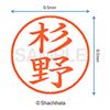 Shachihata name 杉野