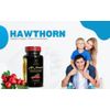 Daily Wellness & Antioxidant Support – Plant-Based Vitality 2 Bot 120 Capsule