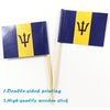 QQSD Barbados Toothpick Flag Barbadian Small Mini Cupcake Topper Flags,100 pcs