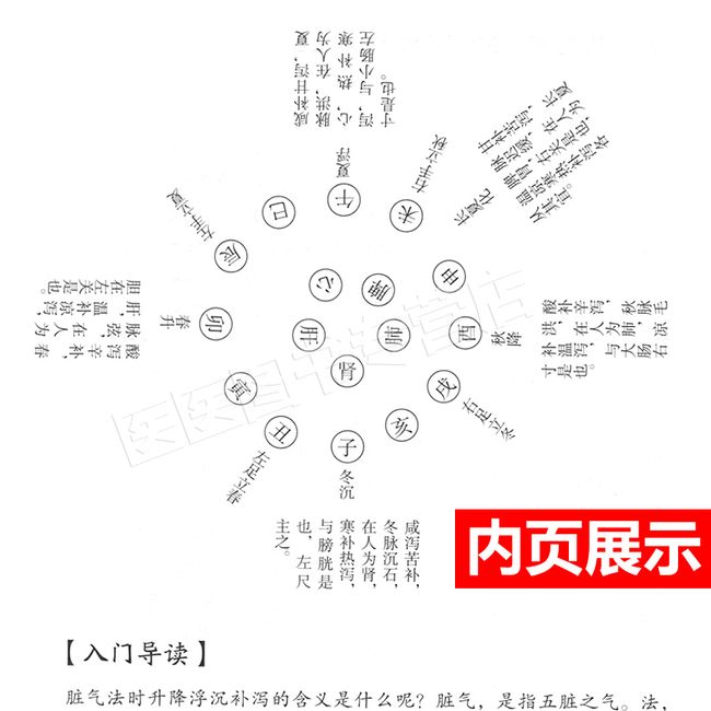 脾胃论入门导读 白话解翻译 金元四大医家李东垣 张再康 中医学书 中国医药科技出版社内外伤寒辩惑论注释文