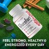 Glucofort Advanced Formula Cholesterol Blood Sugar Glucose Support - 2 Bottles