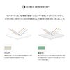 Pro Model Folding Napure Mirror