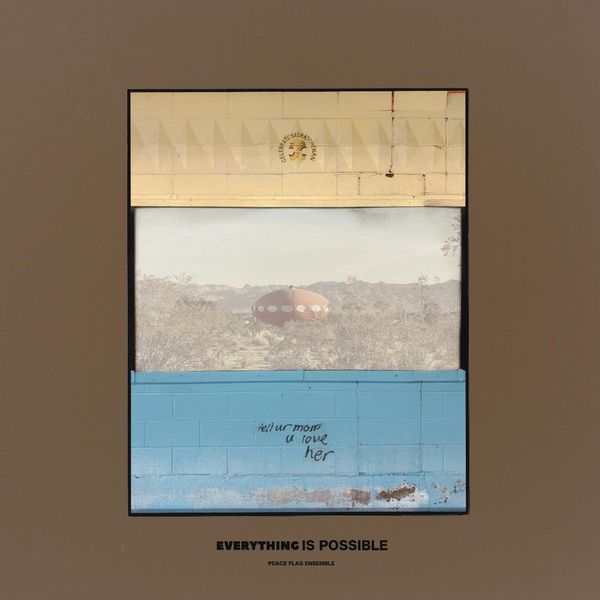 Everything Is Possible [VINYL]