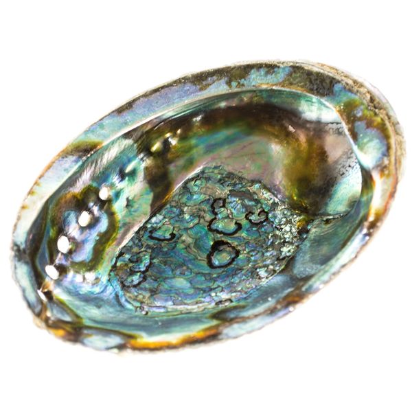 Clear Creek Trading Real Abalone Shell Smudge Bowl