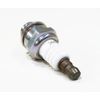 15901019830 ECHO (4)pack NGK BPM8Y 130 884 Spark Plug Echo Blower Chainsaw (1)