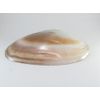 iketyou Pond Butterfly Oyster Shell Cleansing Set [Rose Quartz Chips]